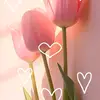 Valeria Meyer - @valeria.meyer18 - TikTok