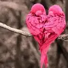 . - @valeriameyer345 - TikTok