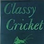 Valerie Ayers - @theclassycricket - Instagram