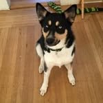Valerie Constable - @valeriec007 - Instagram