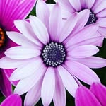 valerieeiler@yahoo.com - @valerieeiler - Instagram