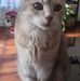Valerie Lepine - Facebook