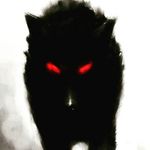Valerie_wolf_pack - @valerie_wolf_pack - Instagram