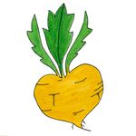 Valerie Loughney Stapleton - @heartofgoldfarm - Instagram