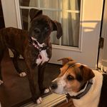 Valerie Stapleton - @vdstapleton - Instagram