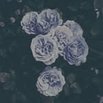 valery cabrera - @valery.cabrera.4 - Instagram