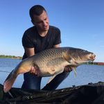 Валерий Курляндский - @valerydmitrievich - Instagram