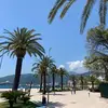VALON BERISHA - @lon.berisha - TikTok