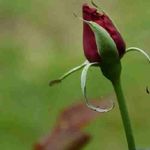 Valorie Longo - @valorielongo - Instagram
