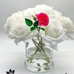 vaman rao - @vaman7075_ - Instagram