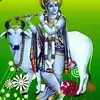 Vaman Rao - @vamanrao7 - TikTok