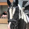 Paardjestaartjes - @bowlingballen.van.daan - TikTok