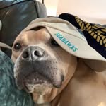 Brady Van Lunen - @brady.van - Instagram