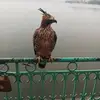 Ngành Chu Văn - @65chuvanbranch - TikTok