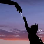 Станислава Воронина - @smile_van_braun - Instagram