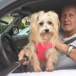 Van Brower - @fuzzyvan - Instagram