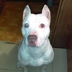 Van Brown - @van.brown.94009841 - Instagram
