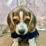 Bun chiay - @vanbun_chiay - Instagram