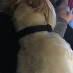 Sully Van Burgess - @sullyvanburgess - Instagram