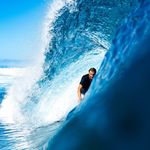 Van Bush - @van_bush - Instagram