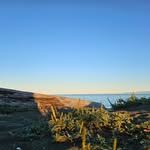 @vancarpenter2024 - Instagram