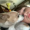 Vance Carrier - @wonderful_chihuahuas - TikTok