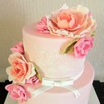 vanilla - @vanilla.celaya - Instagram