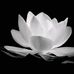Van Chồng - Facebook