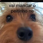 Van Christopher - @olemeuak - Instagram
