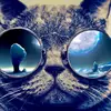 VanChristopher - @vanchristopher - TikTok