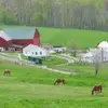 CountryBoy - @vanchurch03 - TikTok