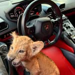 van clark - @van_clark_ - Instagram