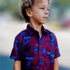 lil van - @vanclayton461 - TikTok
