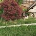 Van Coffey - Facebook