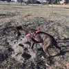 DALTON VAN DER MERWE - @daltonvan08 - TikTok