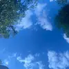 vandao - @vandao459 - TikTok