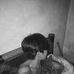 Van Van Diaz - Facebook