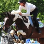 Van Doren Show Jumping - @vandorenshowjumping - Instagram