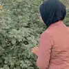 مريم🤍 - @van.dotson - TikTok