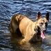 Van Dotson - Facebook
