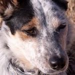 Van Dotson - @vand1848 - Instagram