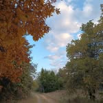 Van Douglas - @vandouglasdesigns21 - Instagram