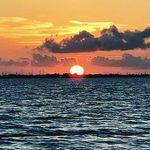 elkins van - @elkinsvan - Instagram