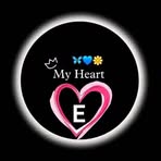 De van Evans - Facebook