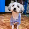 Van Evans - @van.evans - TikTok