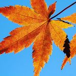 Vanevan's Otoño - @vanevan.s - Instagram