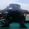 Evan Fitzgerald - @evan.fitzgerald7 - TikTok