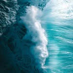 Van Fitzgerald - @van.fitzgerald.98 - Instagram
