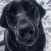 Van Foster - Facebook