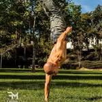 Theo Van Freeman - @theovanfreeman - Instagram